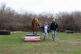 LR-WRF 0402026 Retreat-3531